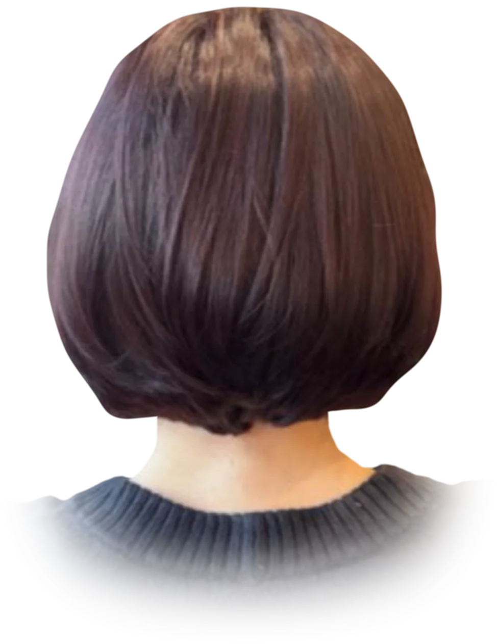 Sleek chin-length bob haircut in deep plum brown, cut out against a plain background, seen from behind
