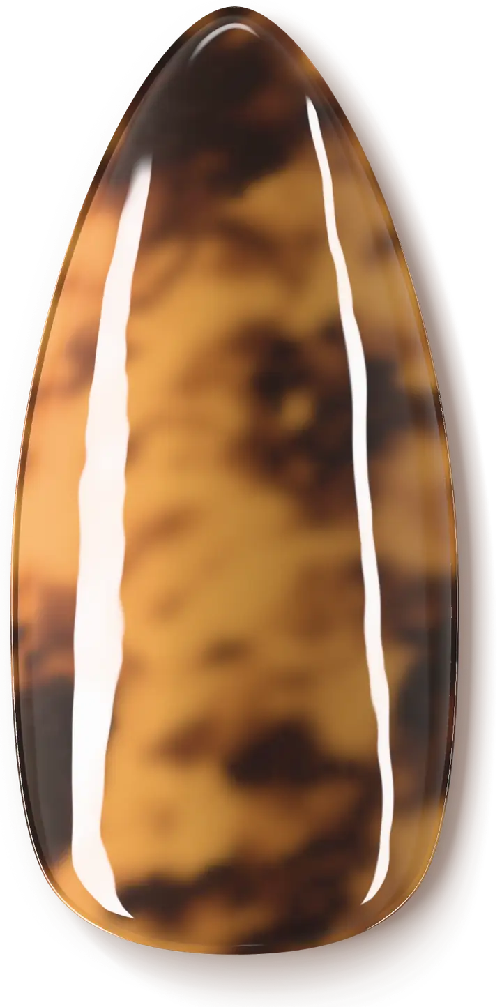 Illustration of the Tortoiseshell nail art design: layered amber and espresso, like a vintage hair clip.