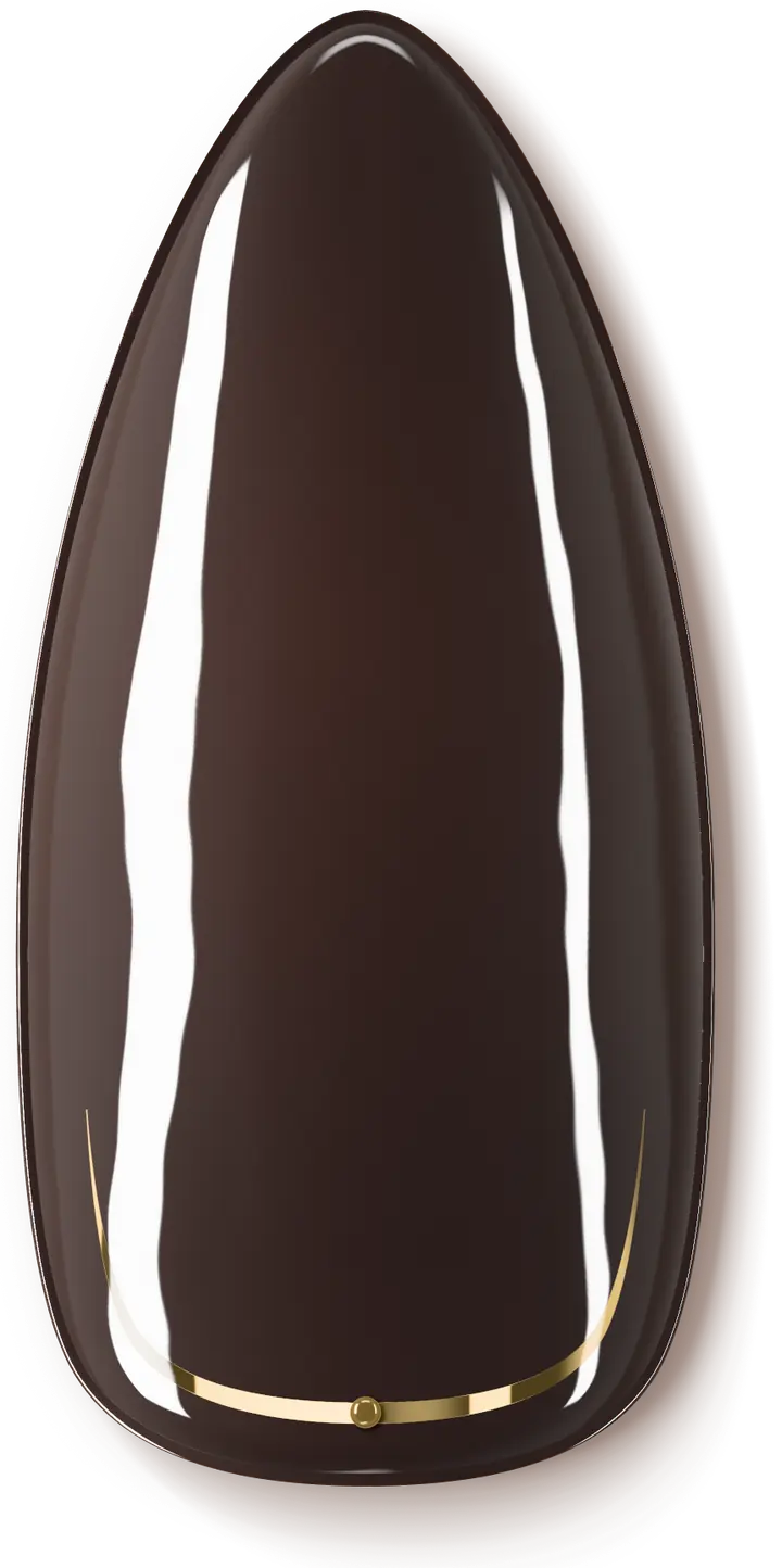 Illustration of a nail design: glossy dark brown with a fine gold line at the base